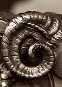 Wall_Art_Alphabet_Photography_Art_ 676